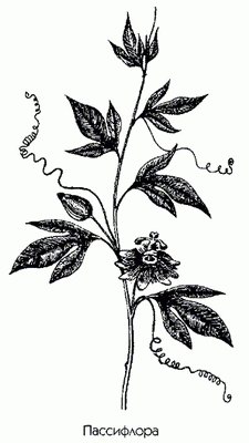  ( ,  -) - Passiflora incarnata L.